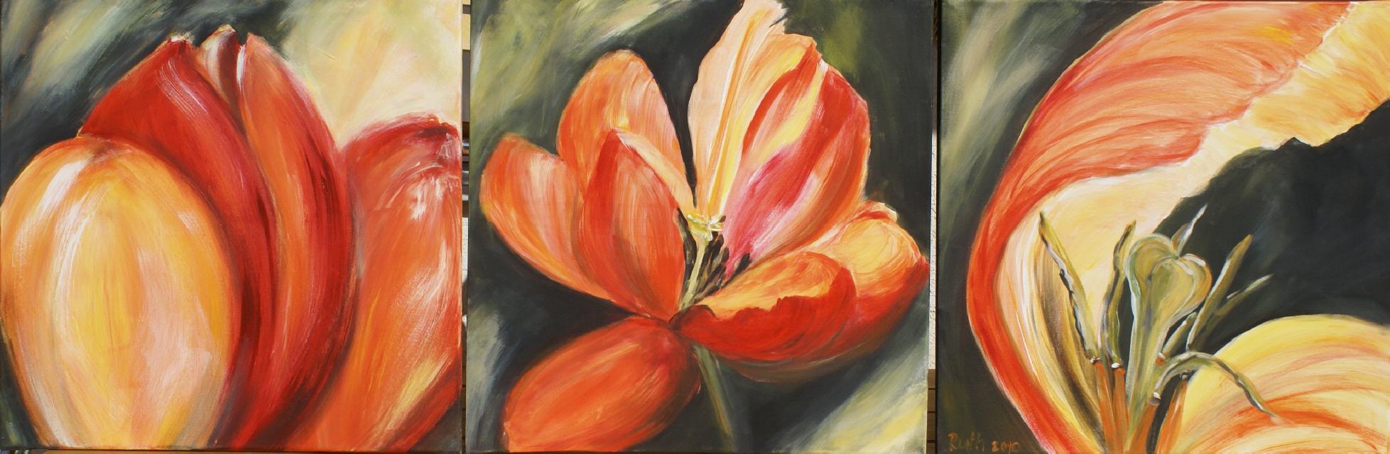 Tulpentrilogie 3x40x40