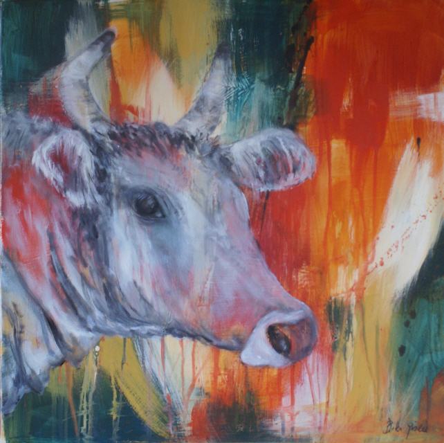 Rote Kuh 60x60