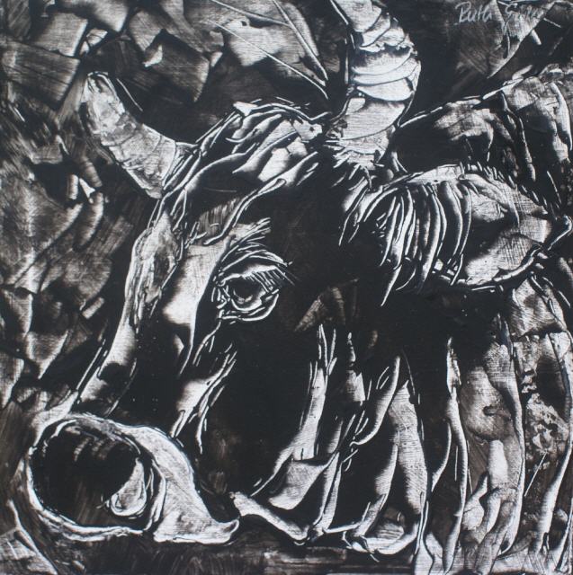 Stier von Uri 50x50