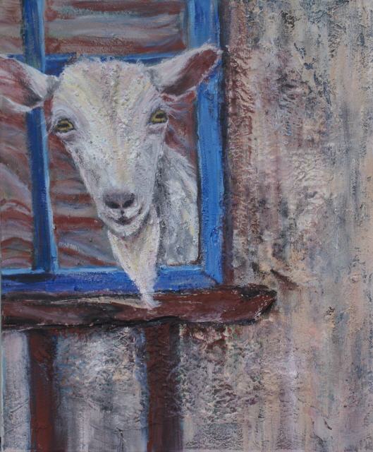 Saletti 60x50