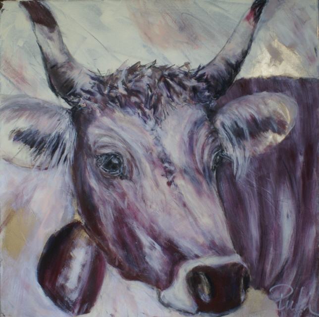 Ds Goldi 60x60