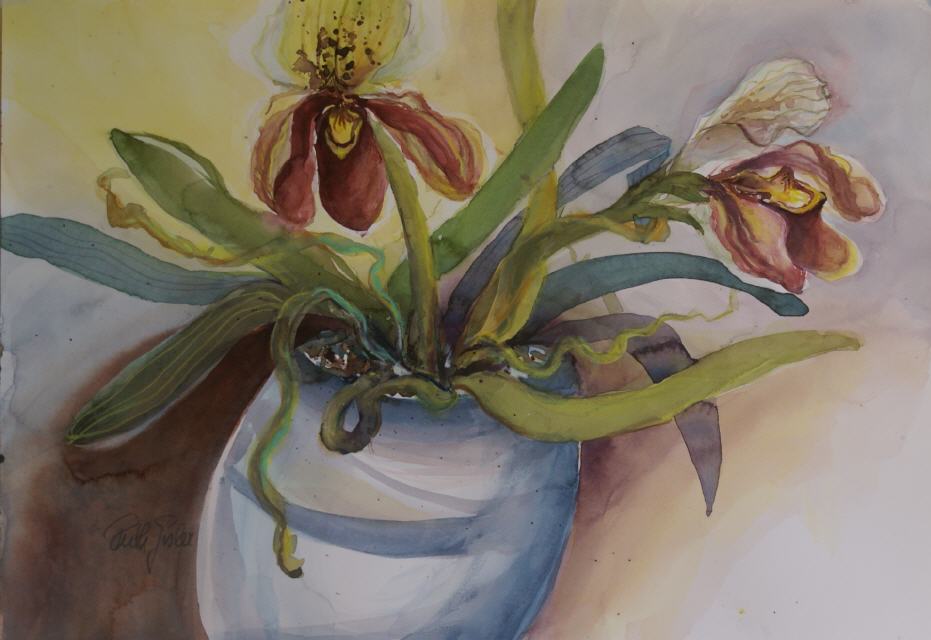 Frauenschuh 50x60