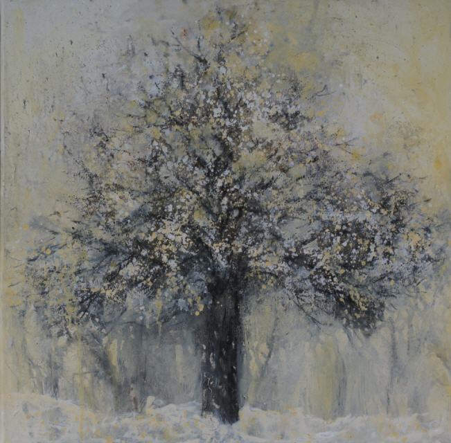 60x60